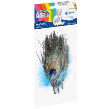 Feathers FIORELLO peacock 14-16cm 3pcs.