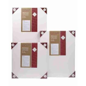 3D Canvas Mont Marte 50.8x76.2  Premium Series