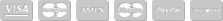 Payment